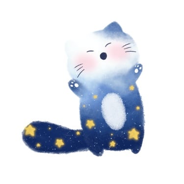 星空猫咪