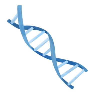 手绘-初高中课程辅导贴纸-DNA