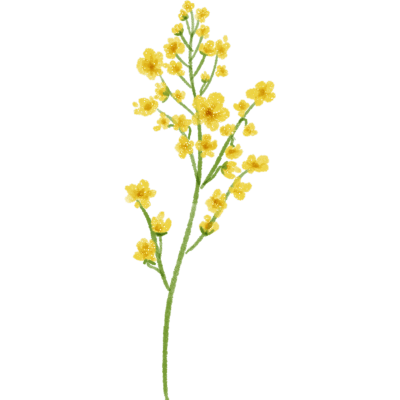 清明节装饰贴纸-花