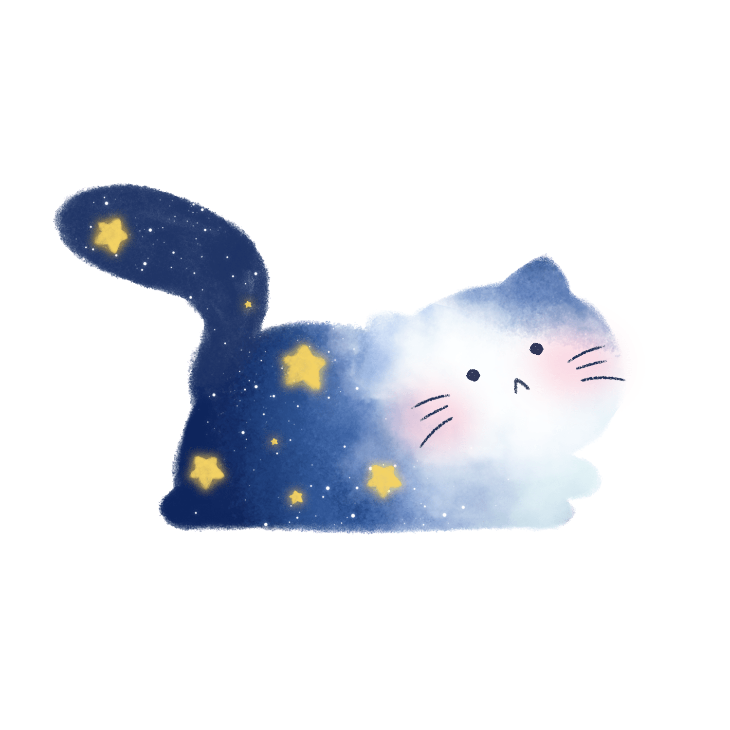 星空猫咪