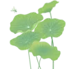 立夏插画