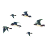 处暑插画