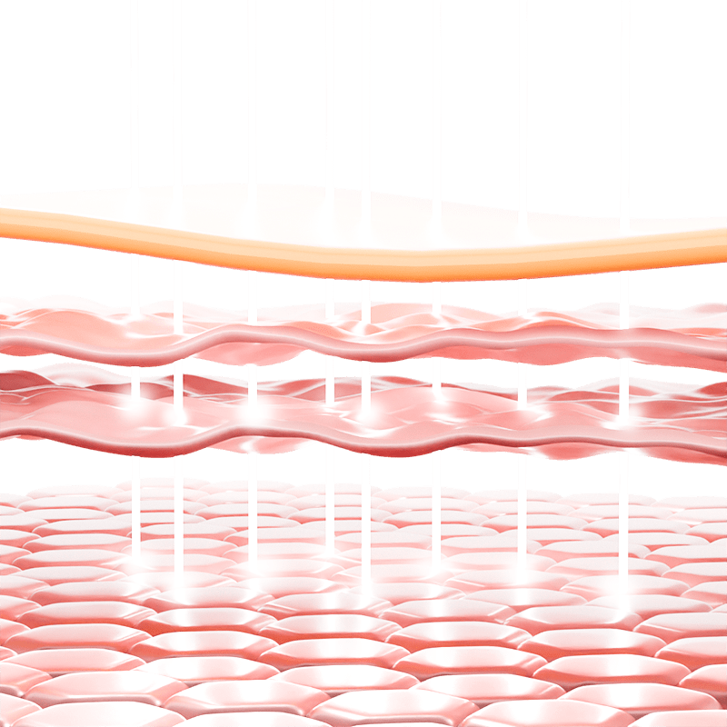 常规系列3D皮肤层结构通用元素素材预览效果