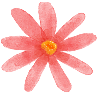 花-6